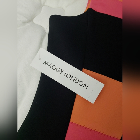 Maggy London Color Block Sleeveless Sheath Midi Dress - Picture 4 of 10